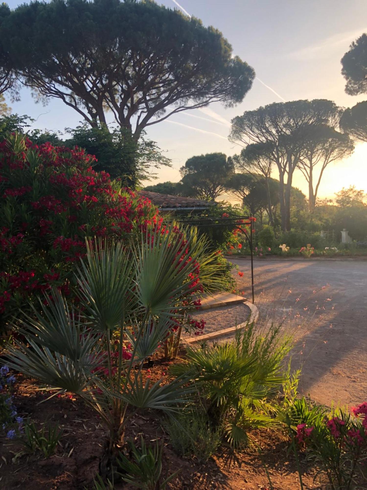 Sous Les Pins Parasols Vidauban Exterior photo