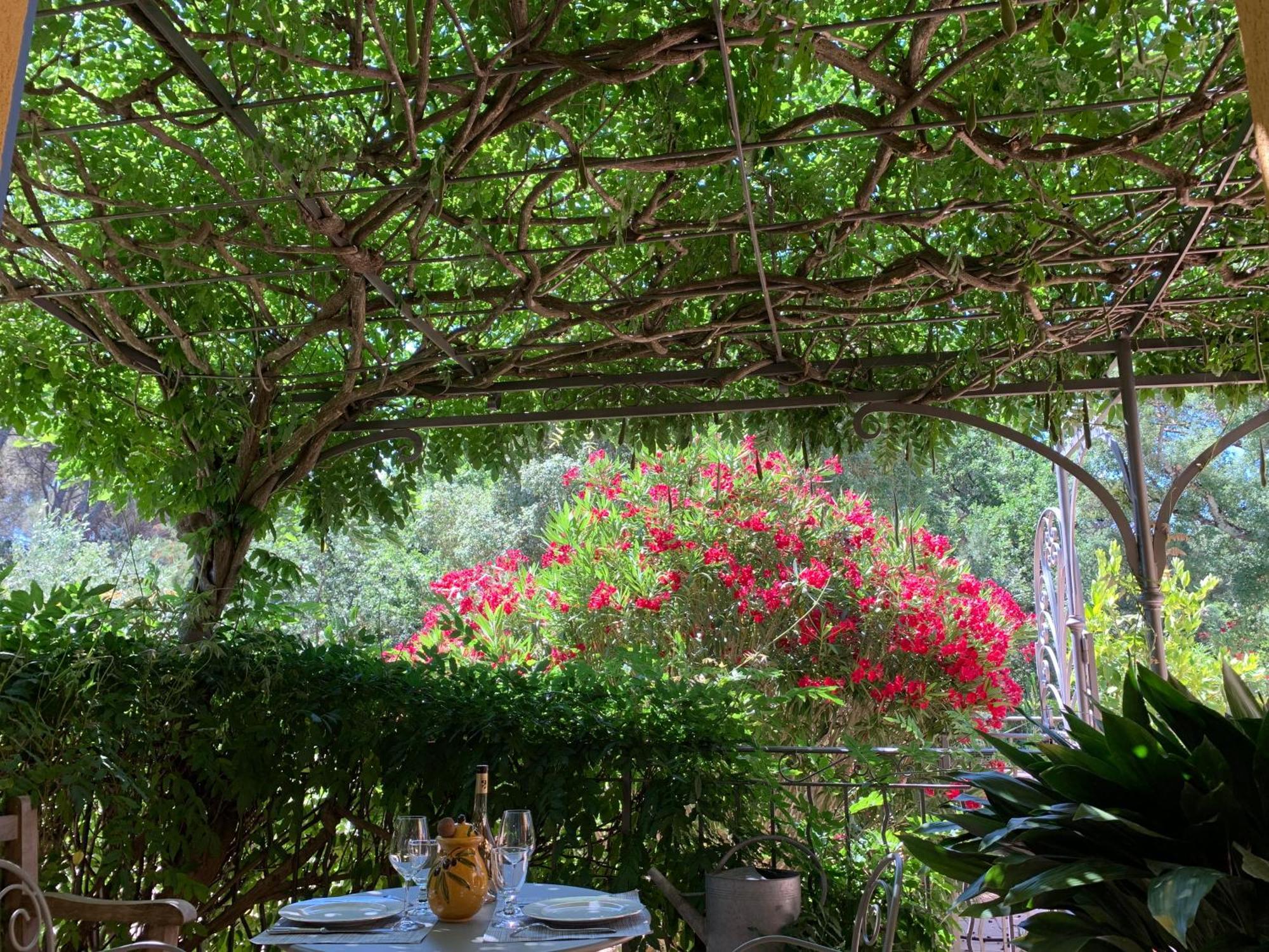 Sous Les Pins Parasols Vidauban Exterior photo