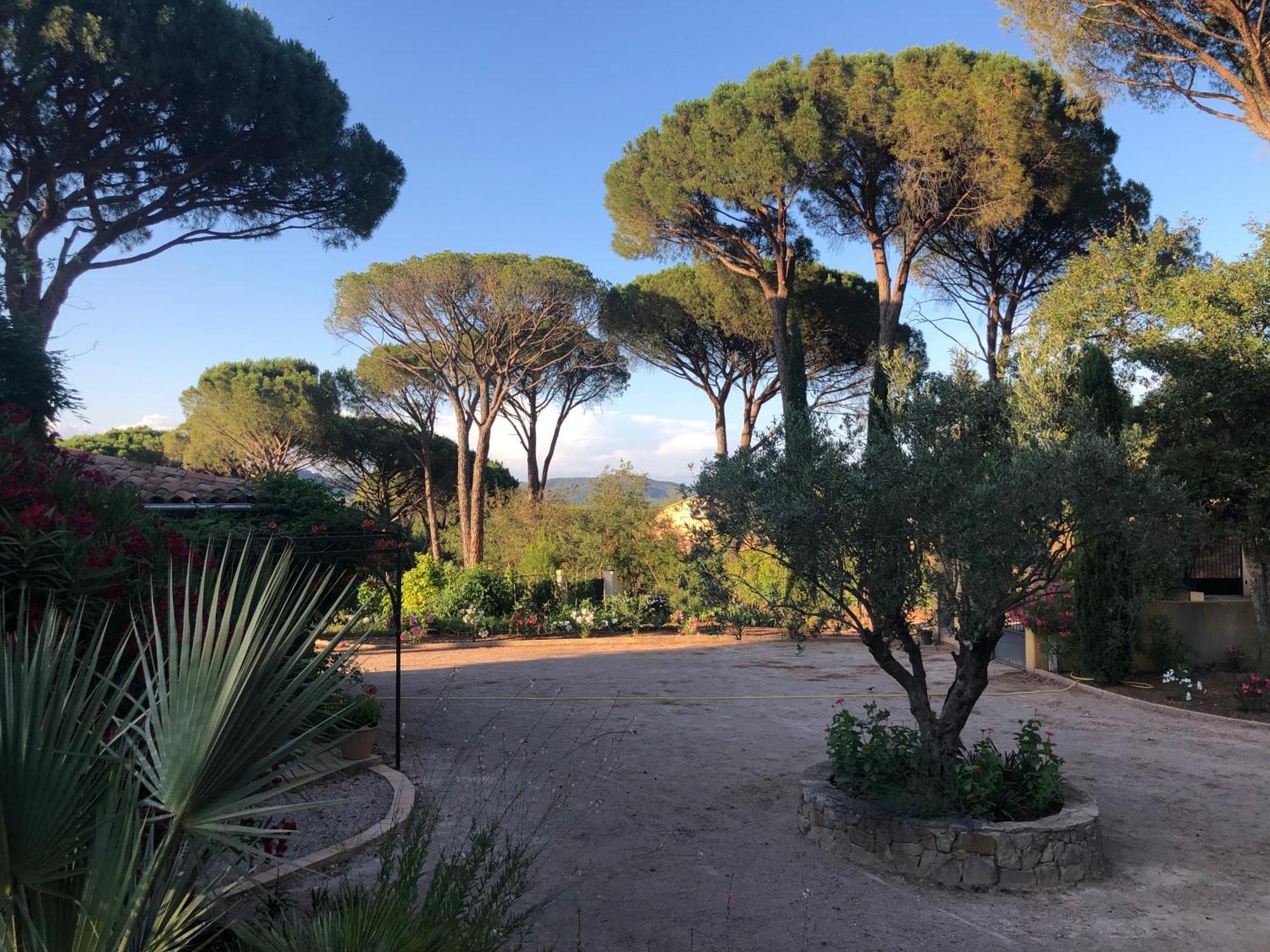 Sous Les Pins Parasols Vidauban Exterior photo