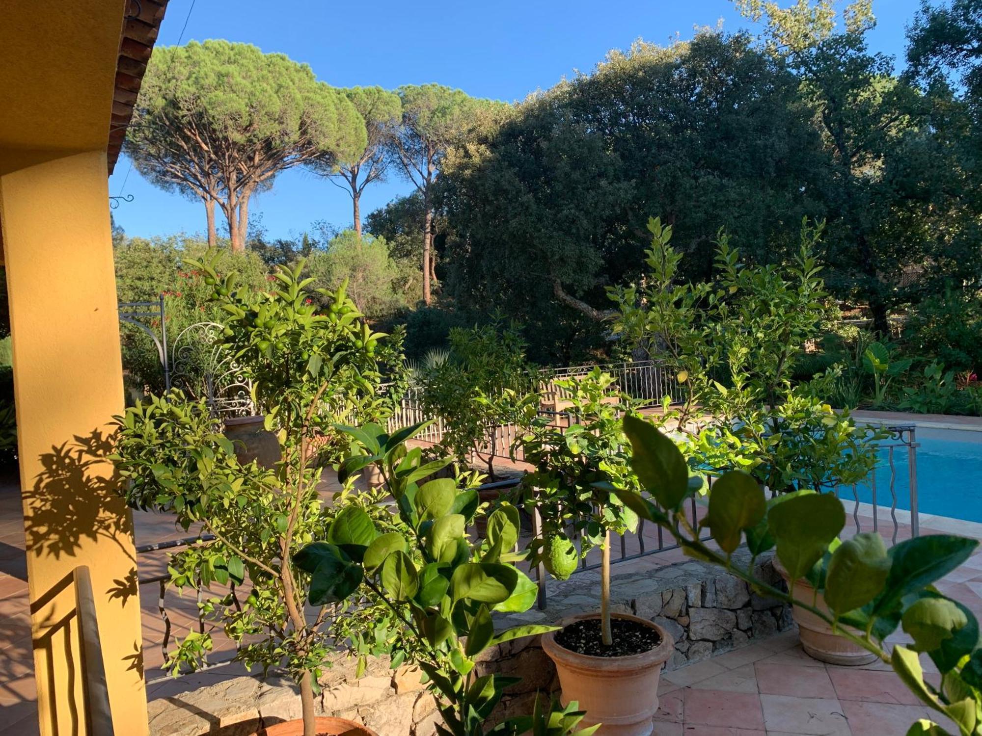Sous Les Pins Parasols Vidauban Exterior photo