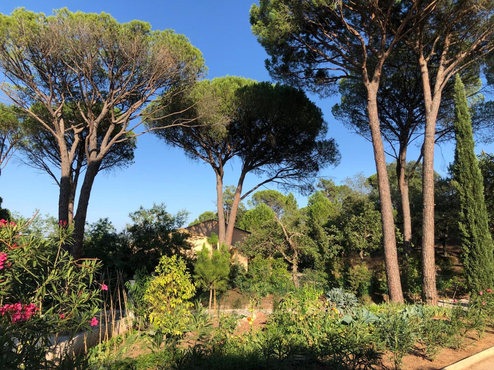 Sous Les Pins Parasols Vidauban Exterior photo