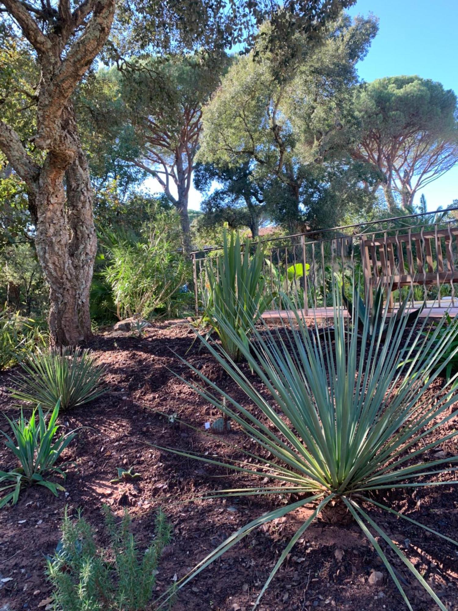 Sous Les Pins Parasols Vidauban Exterior photo
