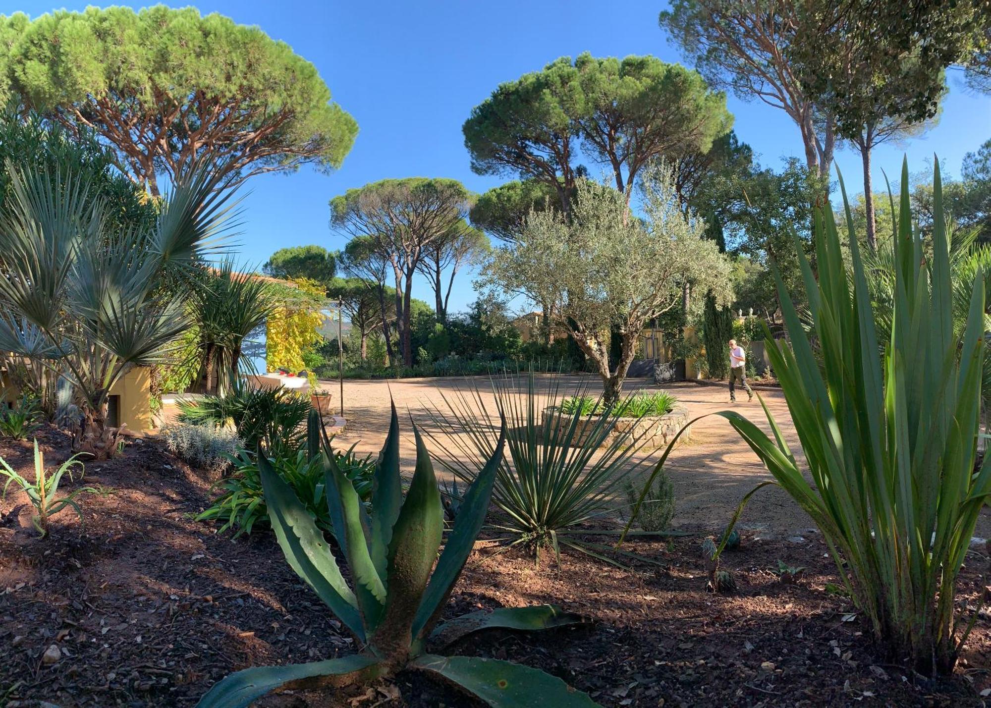 Sous Les Pins Parasols Vidauban Exterior photo